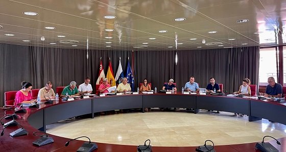 260722 Cabildo y ayuntamientos coordinan medidas para afrontar la emergencia hídrica