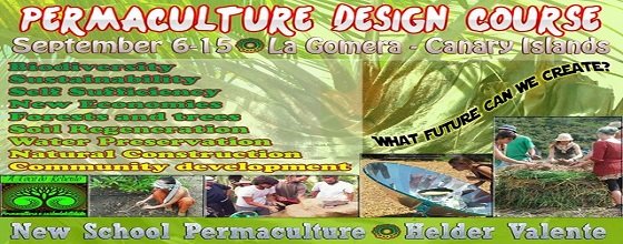 New School Permaculture
PDC 
6 - 15 Sept
La Gomera- Valle Gran Rey - Canary Islands - Spain 