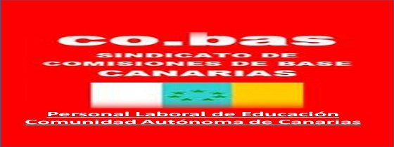 co.bas Canarias acusa al Gobierno de buscar un &#39;falso titular positivo&#39; para esconder los recortes en Educación