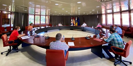 Reunión entre Cabildo y los ayuntamiento de La Gomera