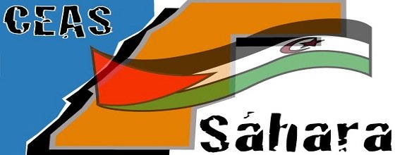 CEAS-Sáhara, tilda de ignominiosa la  sentencia a los 24 defensores de Derechos Humanos de Gdeim Izik