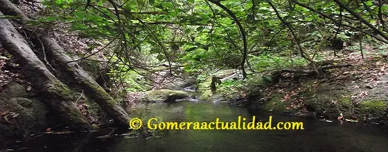 Barranco del Cedro -Hermigua