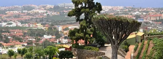 Vista del Valle desde un guachinche de la Villa
de La Orotava