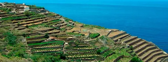 Agricultura-La-Gomera-Agulo