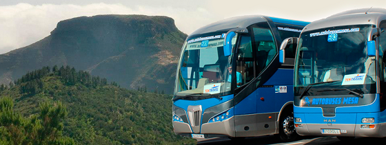Autobuses-Mesa-Fortaleza