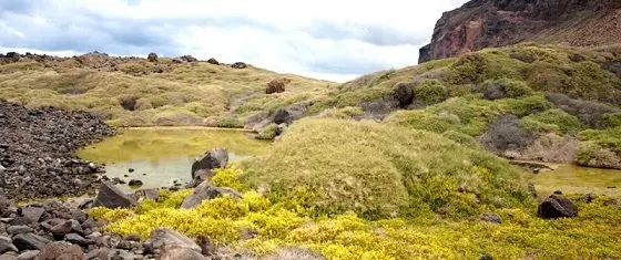 Sitio de Interés Científico del Charco del Cieno