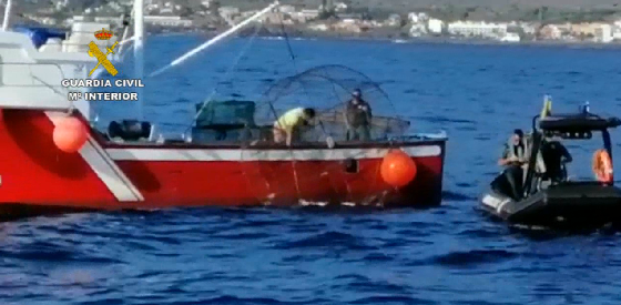 captura pesca ilegal en la gomera