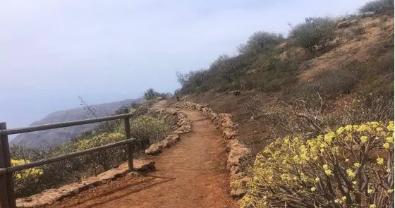 190520 Sendero de La Gomera