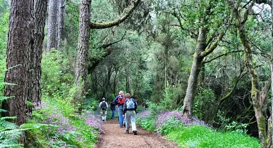 220620 Turistas haciendo senderismo en La Gomera_opt