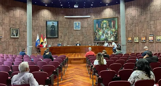 050421 Instantánea del Pleno del Cabildo de La Gomera de este lunes