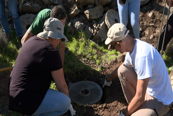 Jornada de plantación en Alajeró