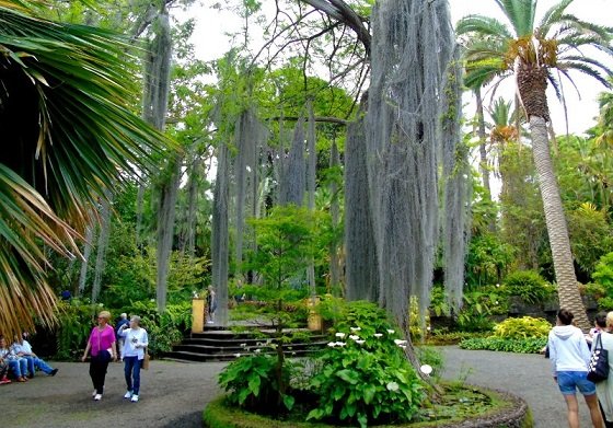 El-Jardin-Botanico-Puerto-de-la-Cruz-Tenerife-Canarias-800x600